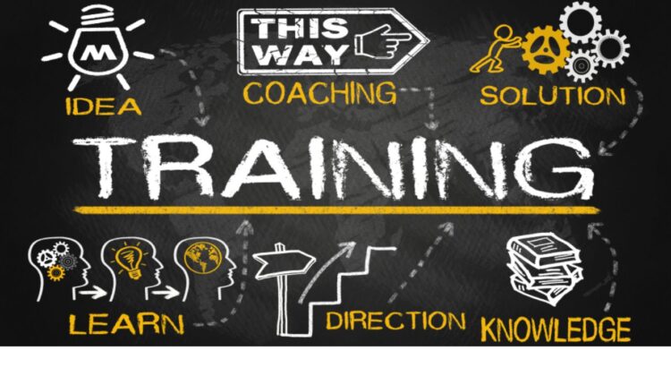 6 Effective Employee Training Strategies for Business Success