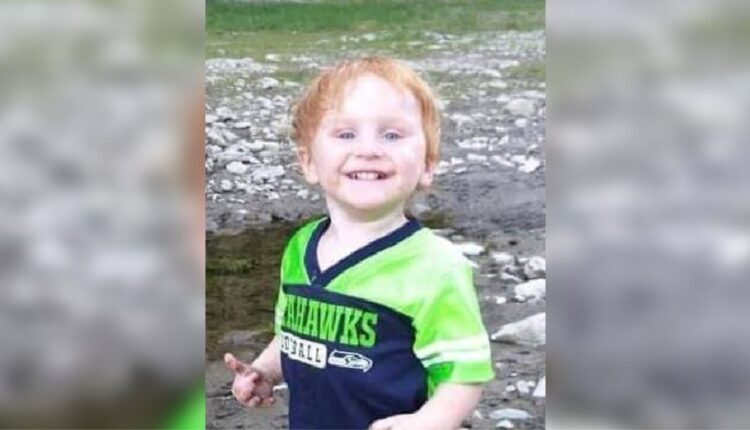 Ryker Webb Disappearance, Appearance, And Police Investigations.